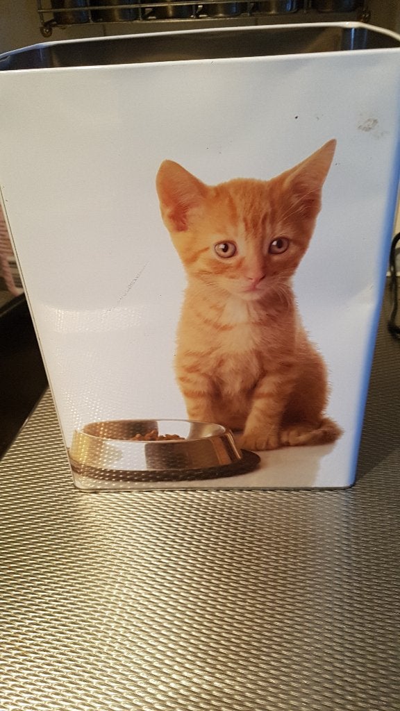 groot katten blik, Verzamelen, Blikken, Ophalen of Verzenden, Overige