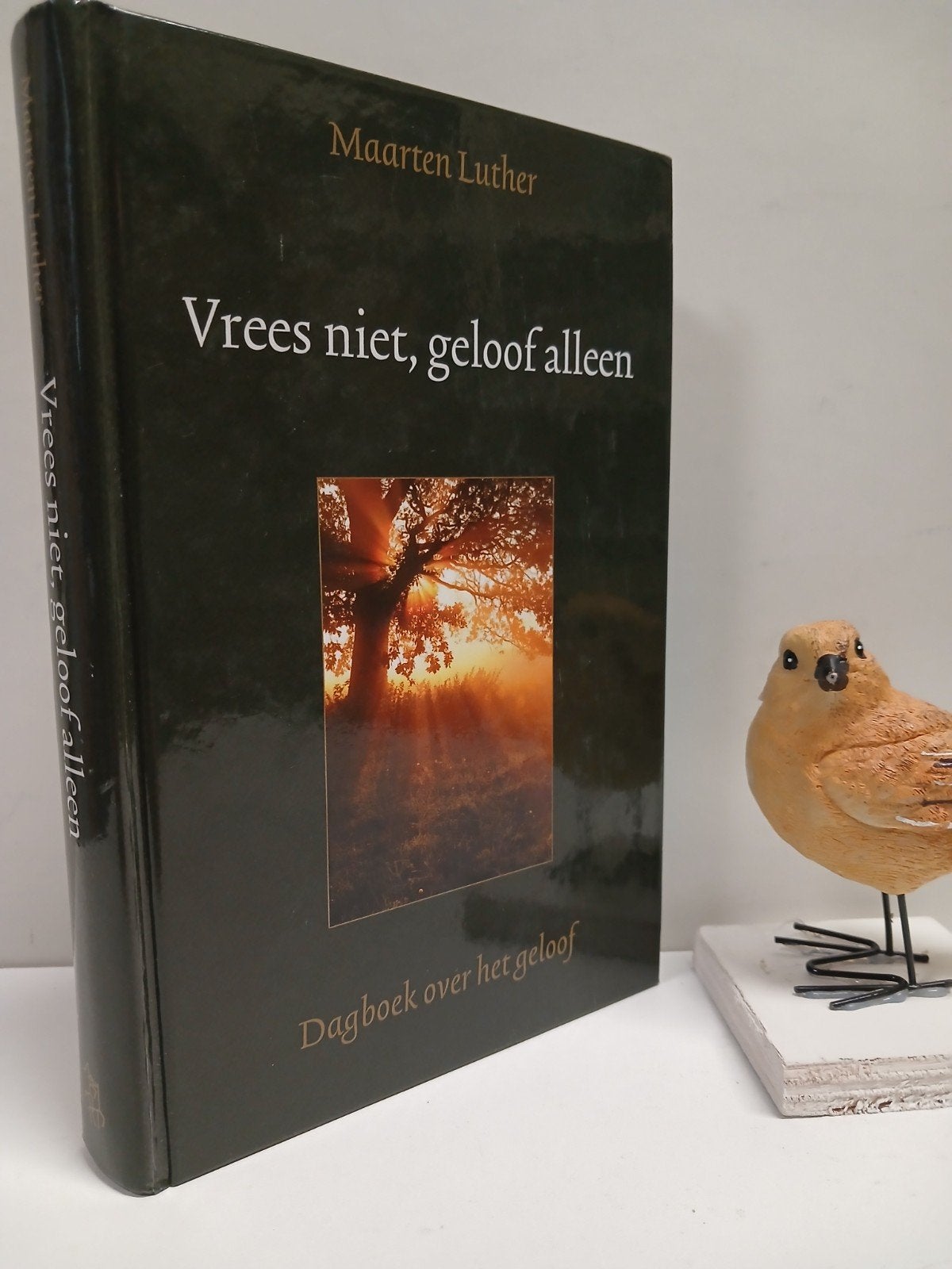Luther, Maarten; Vrees niet, geloof alleen (Dagboek over het, Ophalen of Verzenden, Gelezen, Christendom | Protestants