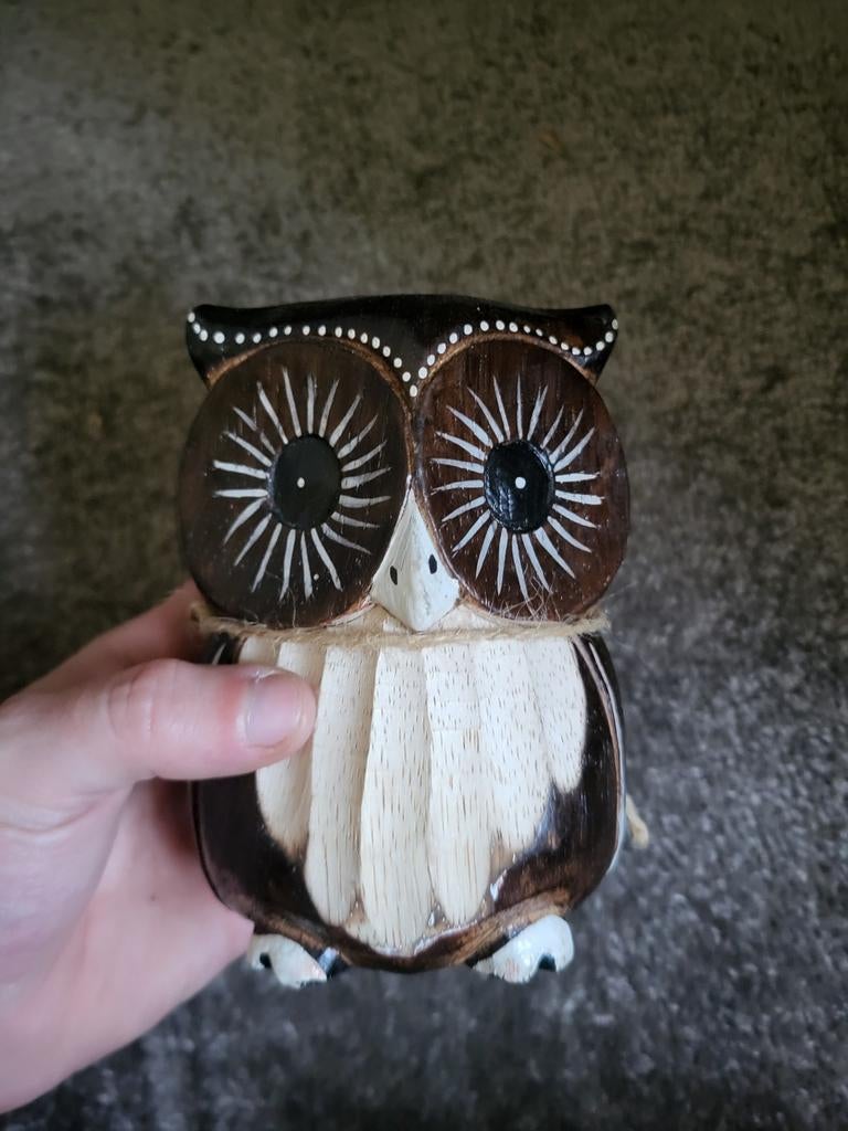 Decoratieve Houten Uil - Handgesneden Kunst, Hout, Ophalen of Verzenden, Bruin, Landelijk