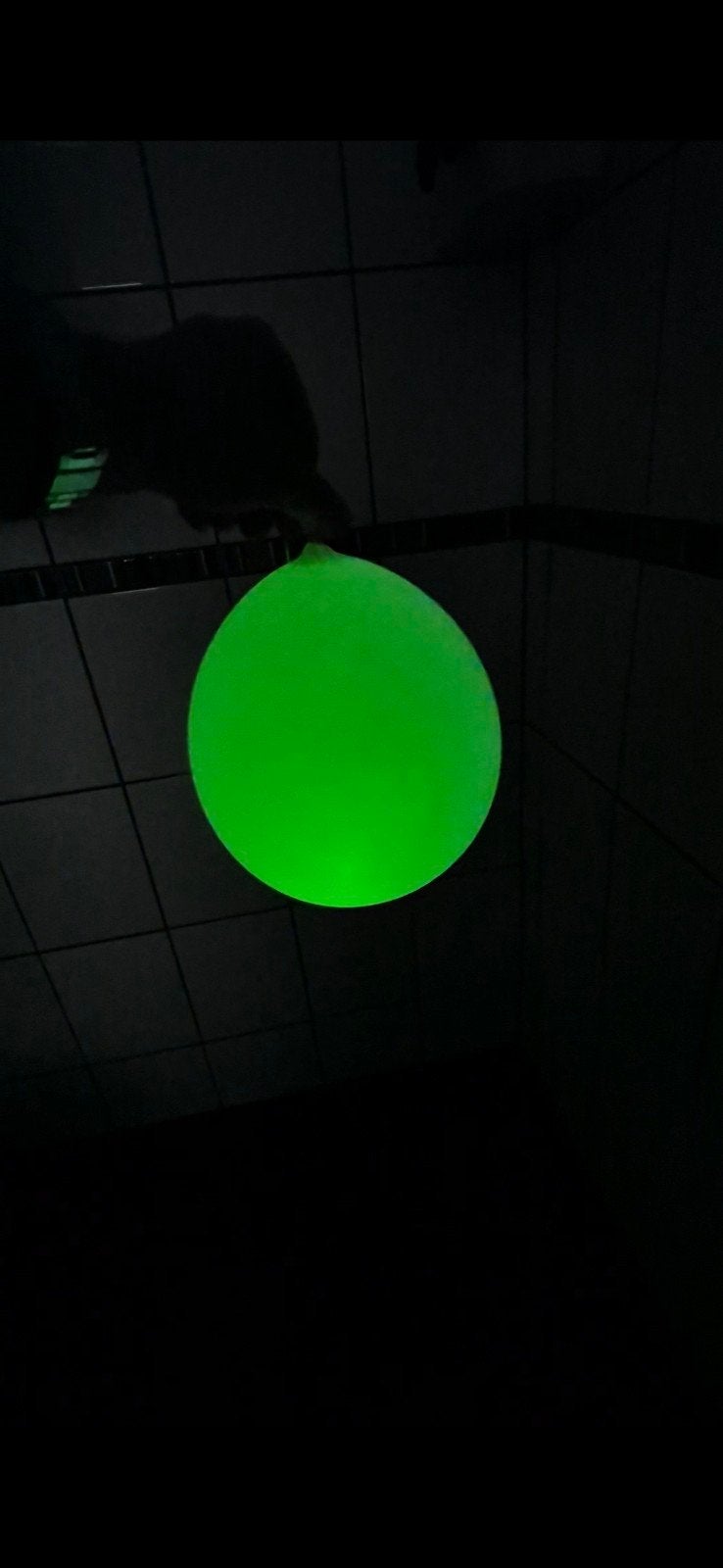 LED Ballonnen - Lichtgevende Feestversiering (20 stuks), Ophalen of Verzenden, Nieuw, Versiering