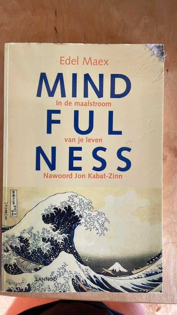 Edel Maex - Mindfulness, Zo goed als nieuw, Instructieboek, Overige onderwerpen, Edel Maex