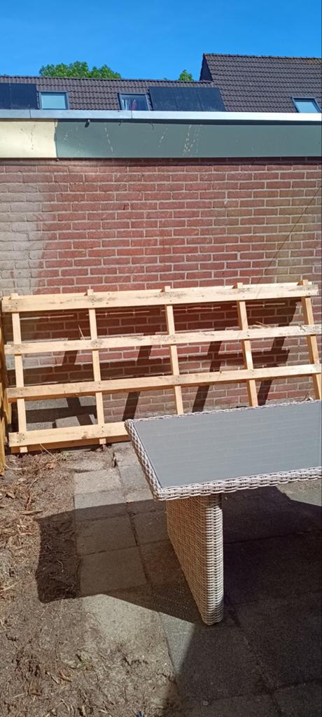 Gratis pallet op te halen, Ophalen of Verzenden