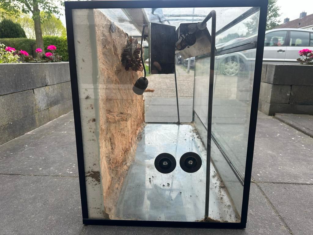 Terrarium + achterwand, Dieren en Toebehoren, Reptielen en Amfibieën | Toebehoren, Ophalen, Gebruikt, Terrarium of Paludarium