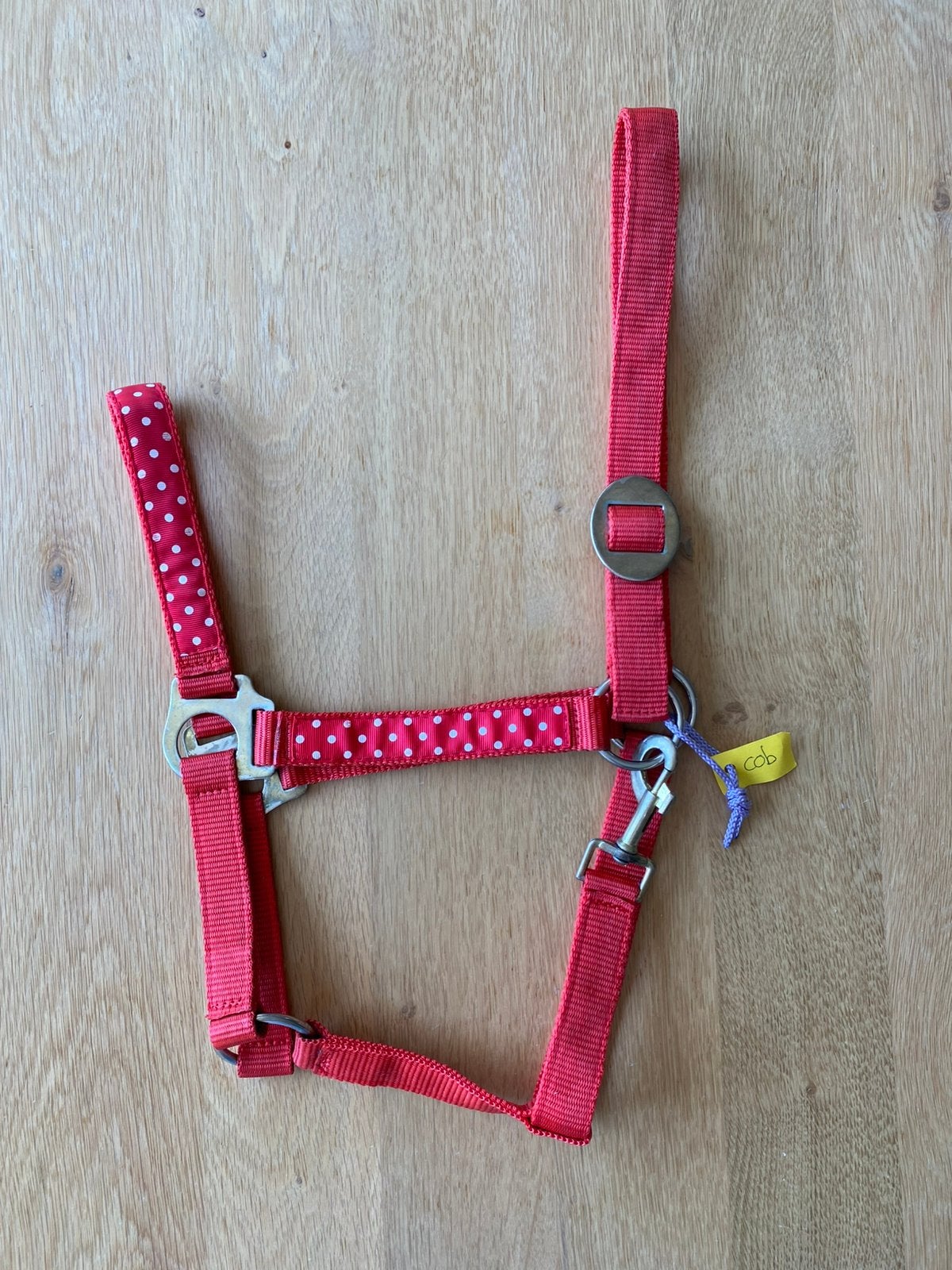 Nieuw halster maat Cob. Rood met witte stippen, Ophalen of Verzenden, Zo goed als nieuw, Halster, Cob