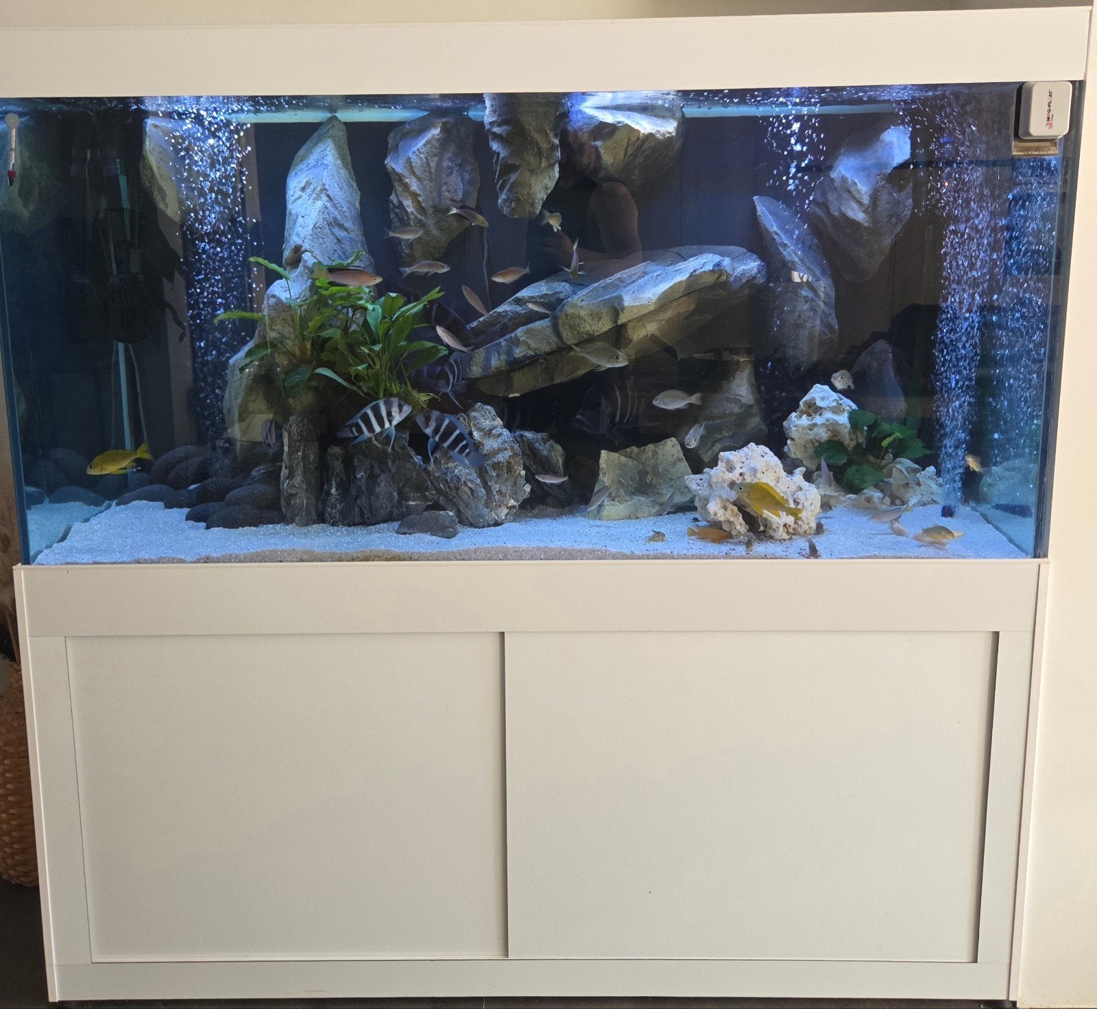 Aquarium, Dieren en Toebehoren, Ophalen, Zo goed als nieuw, Leeg aquarium