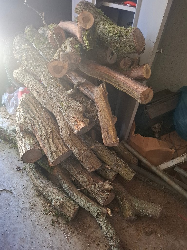 Tekoop : Stammen Haardhout, Minder dan 3 m³, Ophalen, Eikenhout, Stammen