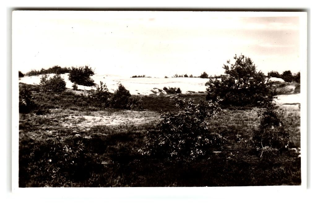 Achterhoek, Groeten uit de Achterhoek. Opruimingskaart, Verzenden, 1940 tot 1960, Ongelopen, Gelderland