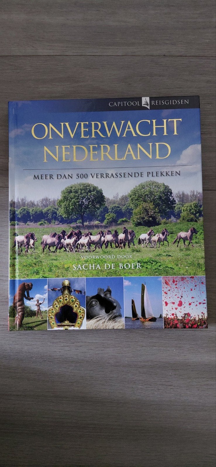 Onverwacht Nederland - Capitool Reisgidsen, Boeken, Reisgidsen, Capitool, Ophalen of Verzenden, Zo goed als nieuw, Reisgids of -boek