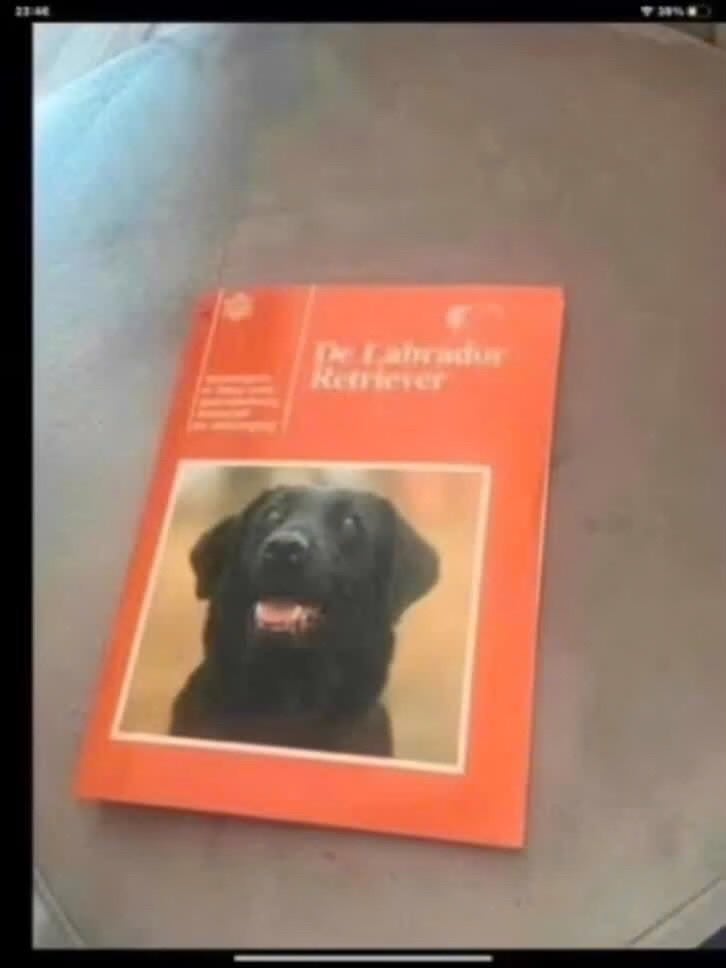 De Labrador Retriever - Boek over hondenras, Honden, Ophalen of Verzenden, Onbekend, Gelezen