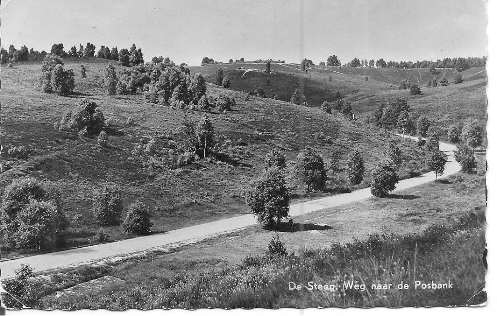 Oude Ansichtkaart: De Steeg - Weg naar de Posbank, Verzamelen, Ophalen of Verzenden, 1940 tot 1960, Gelopen, Gelderland