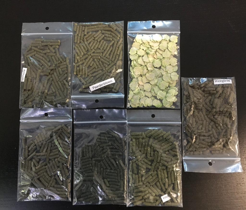 Garnalen / slakken/ kreeften voer sticks, Ophalen of Verzenden, Nieuw, Overige typen