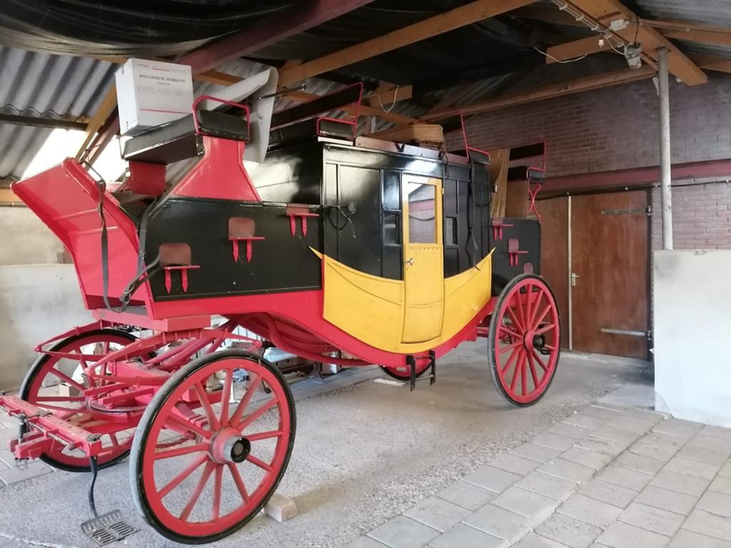 Koets, paard en rijtuig, Dieren en Toebehoren, Nieuw, Overige typen, Paard
