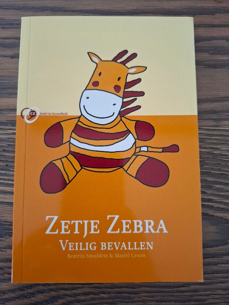 Veilig bevallen, Ophalen of Verzenden, Zo goed als nieuw, Zwangerschap en Bevalling, Beatrijs Smulders