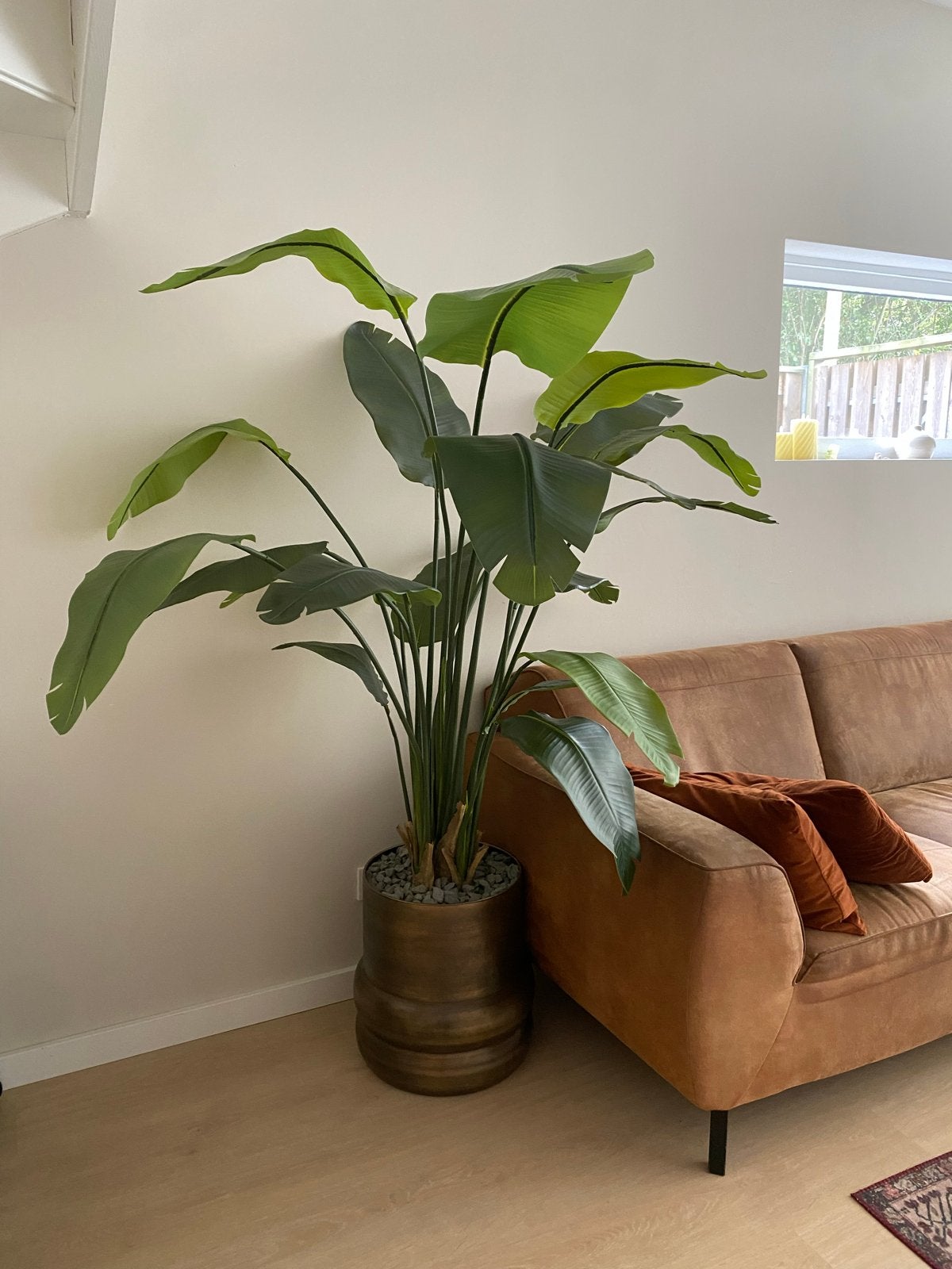 Strelitzia kunstplant 180 cm met pot (40x40 cm), Ophalen, Binnen, Groen, Kunstplant