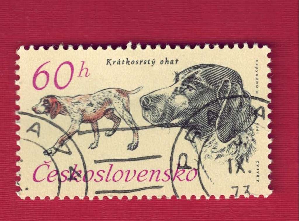 Fauna - Honden - Tsjecho-Slowakije - 60h - gebr, Ophalen of Verzenden, Gestempeld, Dier of Natuur