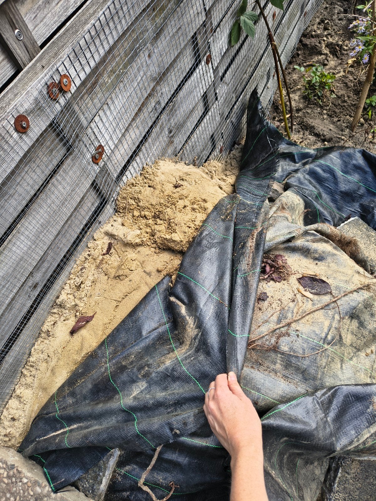 GRATIS ongeveer 1 kuub wit zand, Tuin en Terras, Ophalen, Hout, Minder dan 3 meter, 1 tot 2 meter