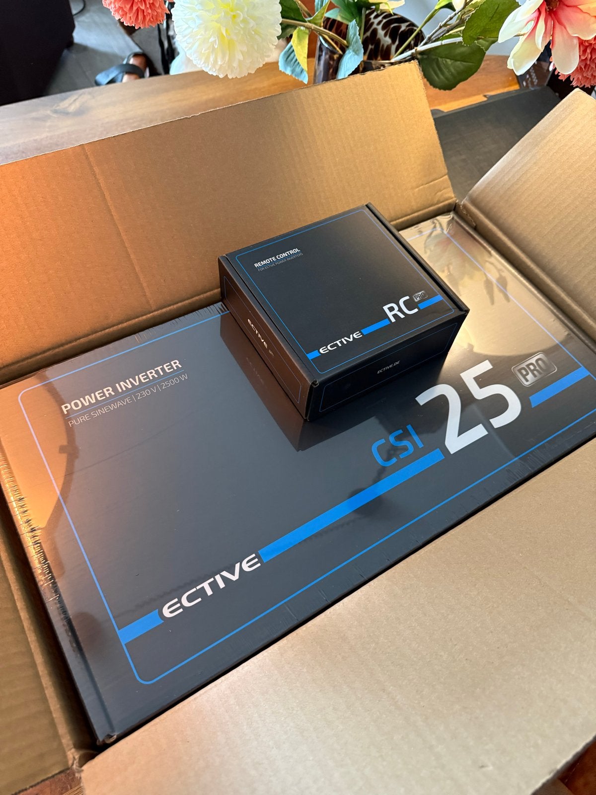 Ective CSI 25 PRO Sinus-Wisselrichter 12V met RC PRO NIEUW, Ophalen, Nieuw