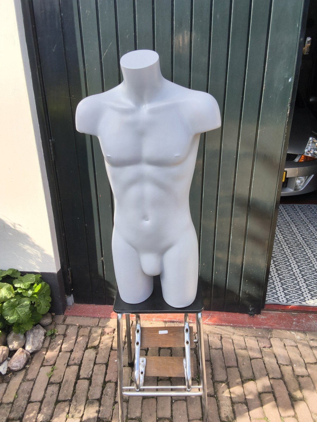 Mannelijke Torso., Kleding | Heren, Ophalen, Nieuw