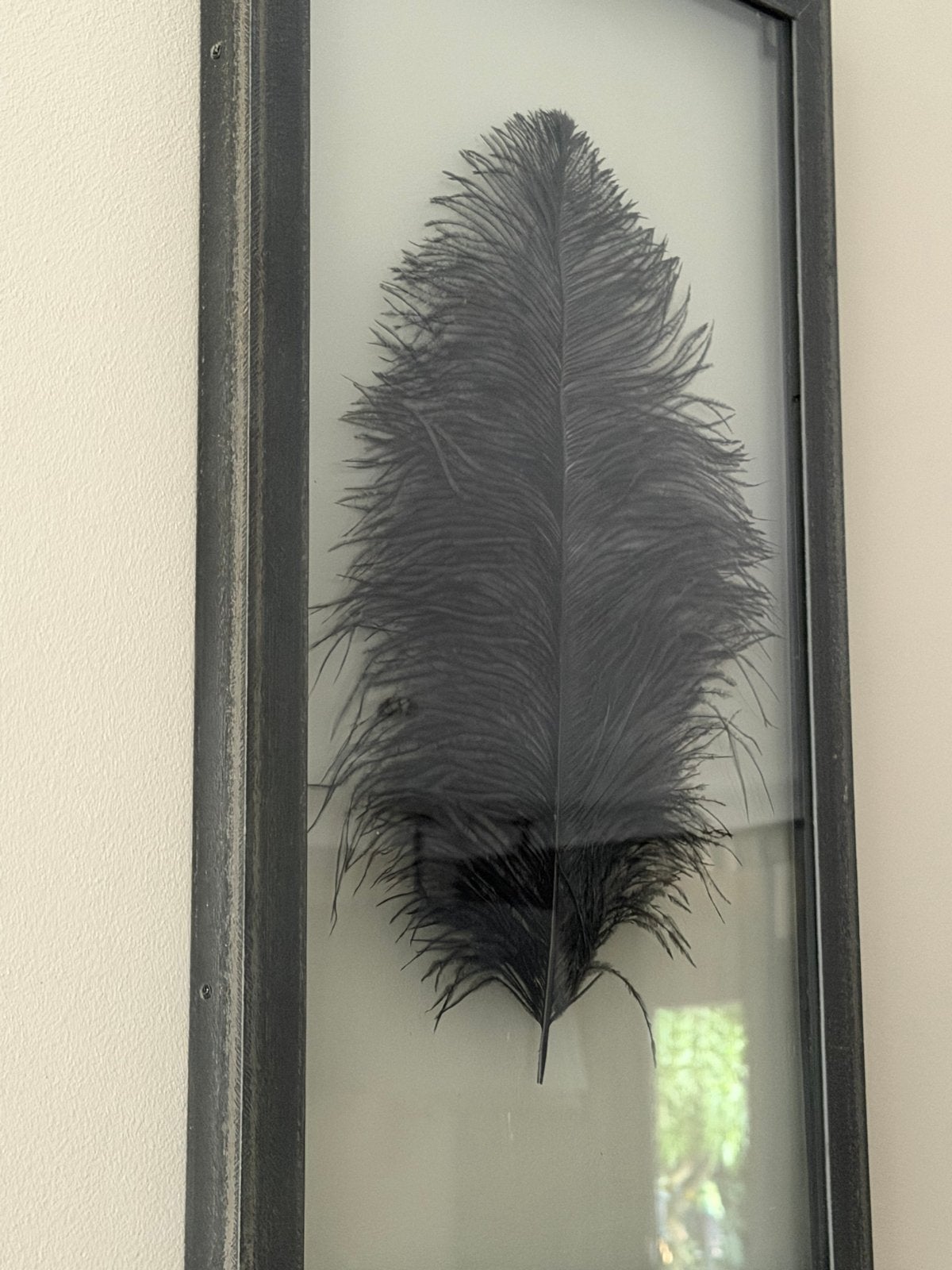 Wanddecoratie met echte zwarte struisvogelveer achter glas, Ophalen, Metaal, Gebruikt, Decoratieobject
