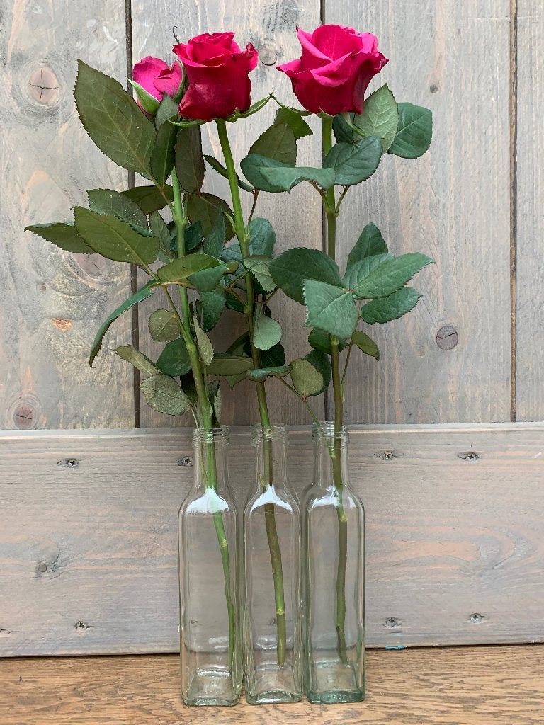 Bijzondere vazen en bloempotten!, Huis en Inrichting, Woonaccessoires | Vazen, Ophalen of Verzenden, Zo goed als nieuw, Overige kleuren
