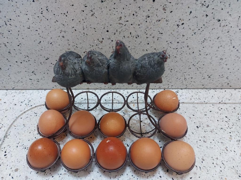 Eierrek 4 kippen op rij ei eieren cadeau kado boerderij, Meerdere dieren, Overige soorten