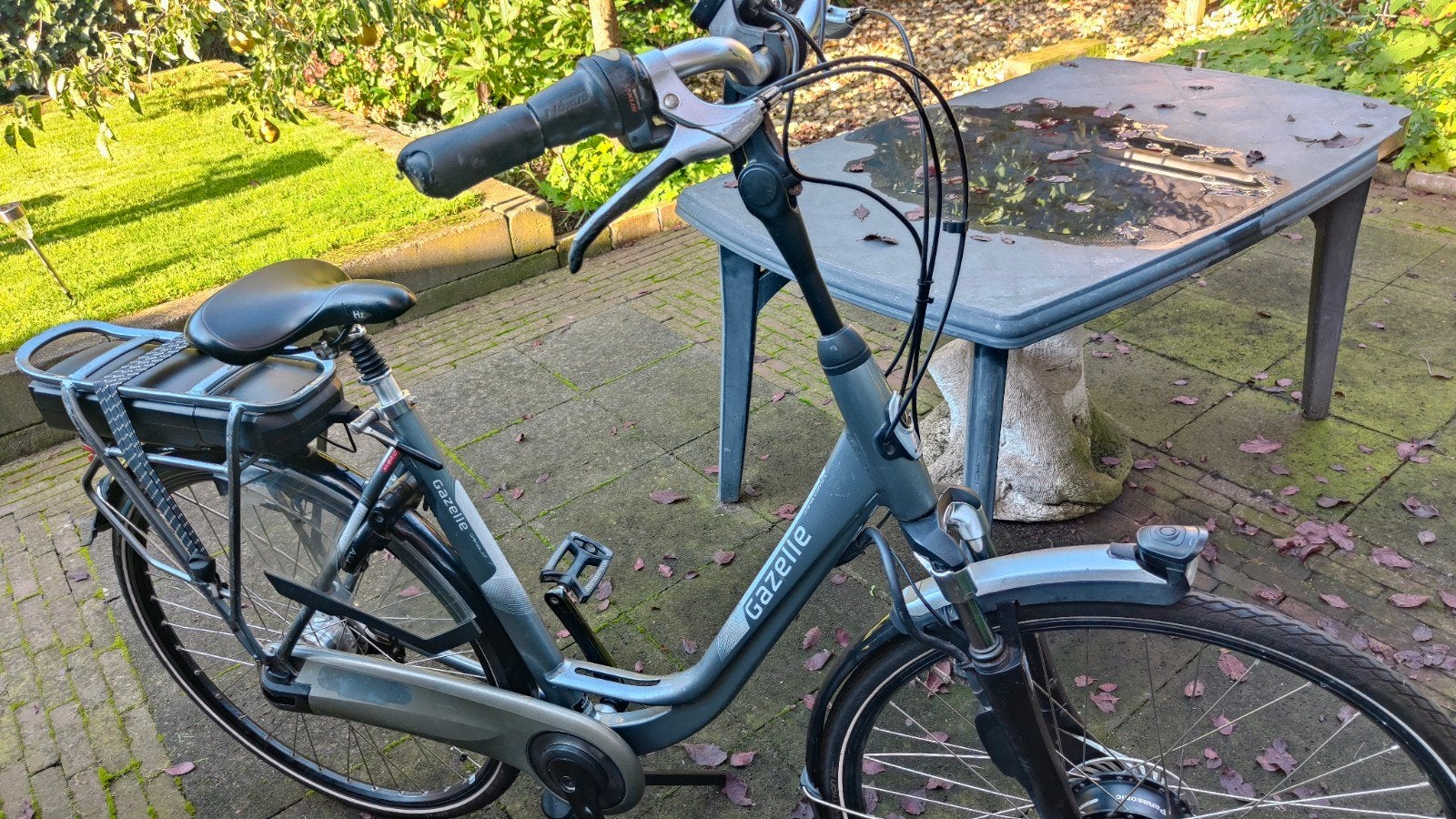 Foto 5 van Diverse Gazelle Electrische Fietsen