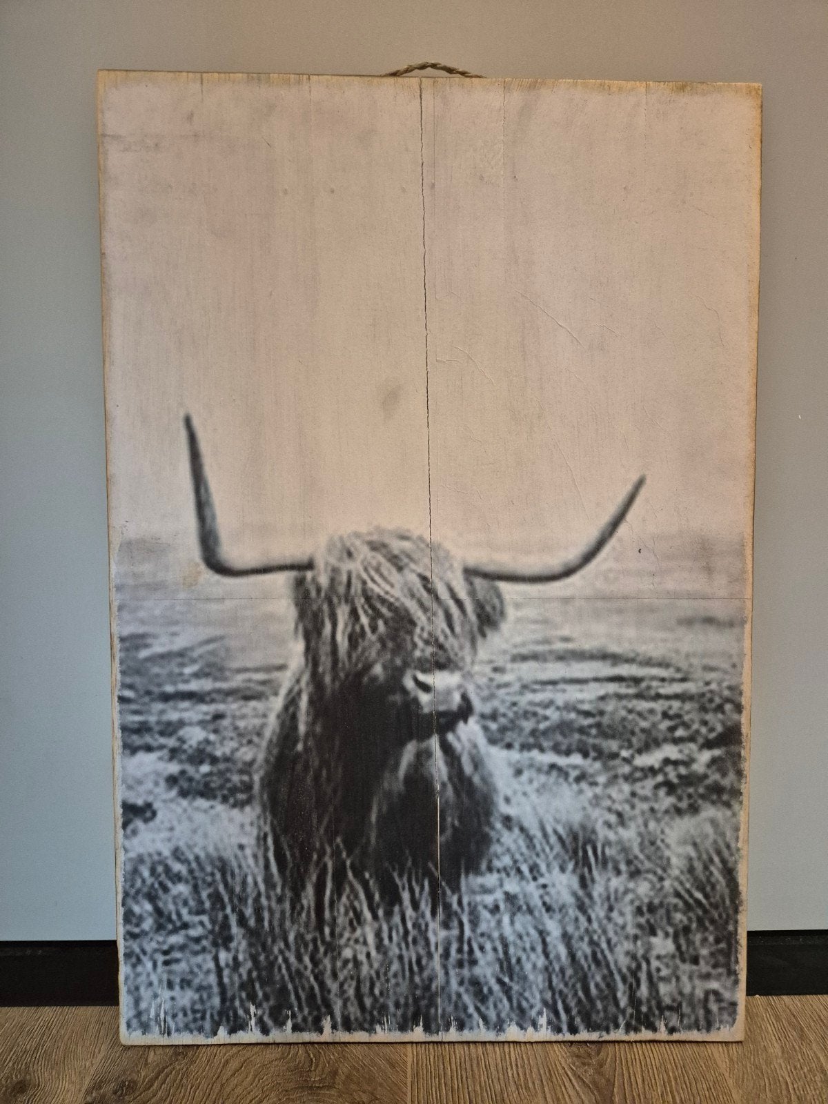 hooglander wandpaneel/schilderij 60cm  40 cm., Ophalen of Verzenden, Minder dan 50 cm, Schilderij