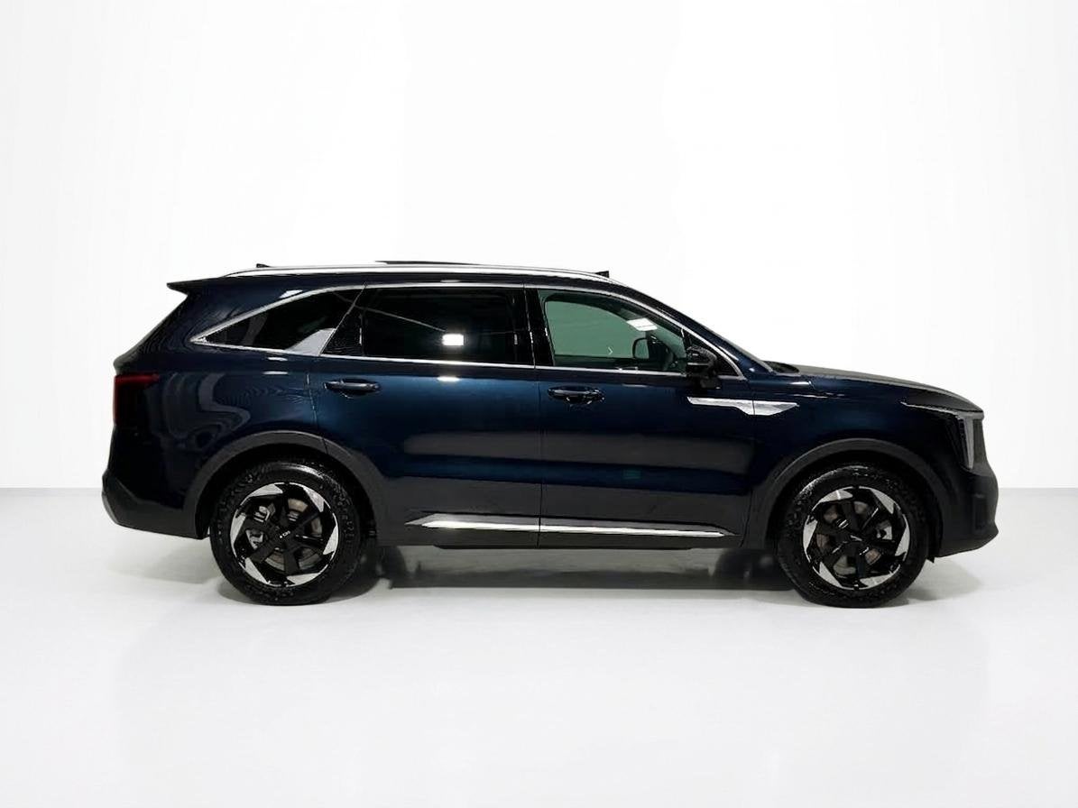 Kia Sorento 1.6 T-GDi Plug-in Hybrid 4WD DynamicPlusLine 7p, Auto's, Automaat, Dealer onderhouden, 4 cilinders, Blauw