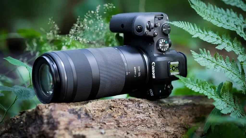 Gezocht: Canon RF 100-400 Lens, Ophalen of Verzenden, Zo goed als nieuw, Telelens, Zoom
