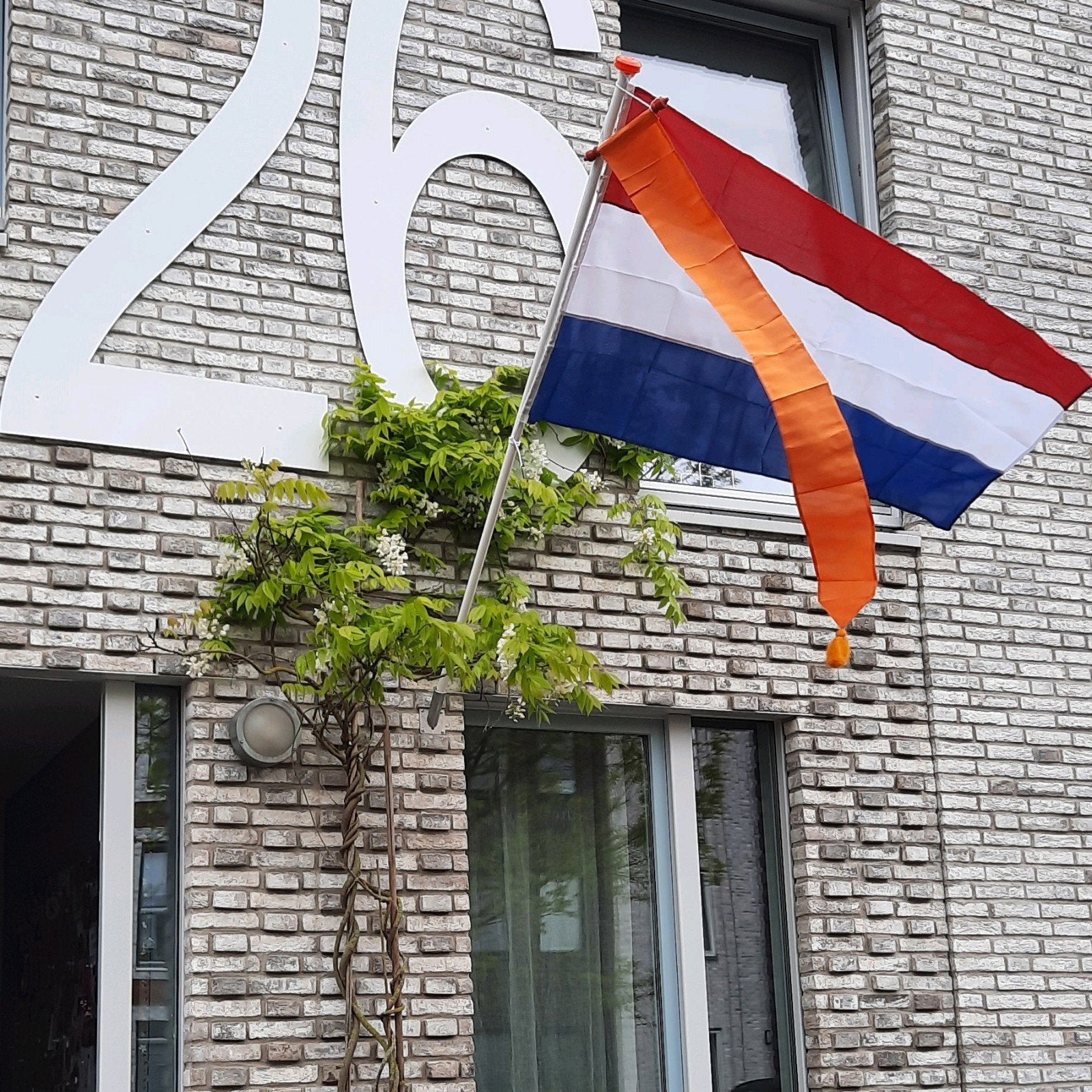 Vlag, wimpel, vlaggenstok, vlaggenstokhouder, Ophalen