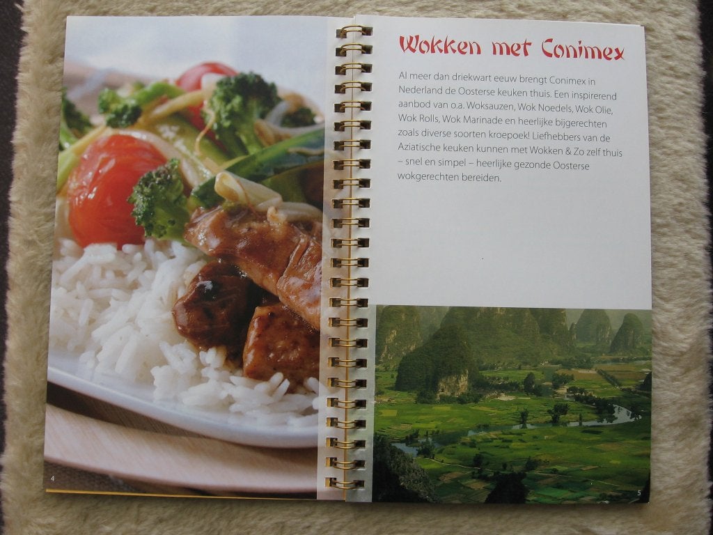 Conimex - Wokken & Zo, Boeken, Ophalen of Verzenden, Gelezen, Conimex, Azië en Oosters