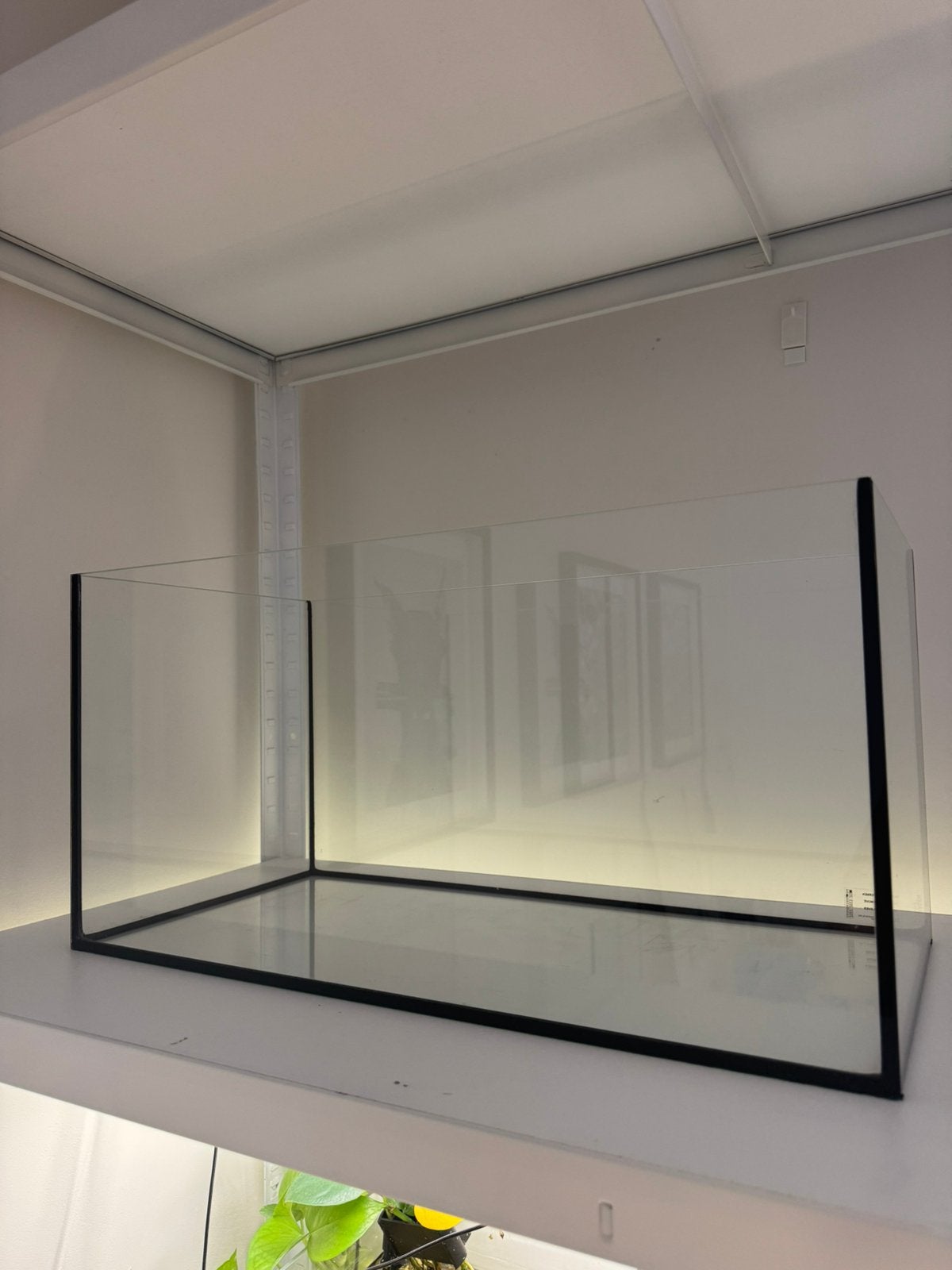 7 Aquariums - Moeten weg, Dieren en Toebehoren, Ophalen, Zo goed als nieuw, Leeg aquarium