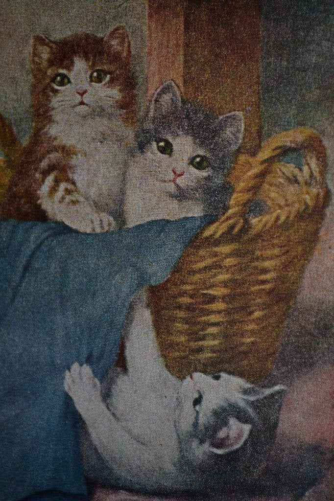 frankrijk 1940  drie poesjes in rieten mand, Ophalen of Verzenden, Voor 1920, Ongelopen, Sterren en Beroemdheden