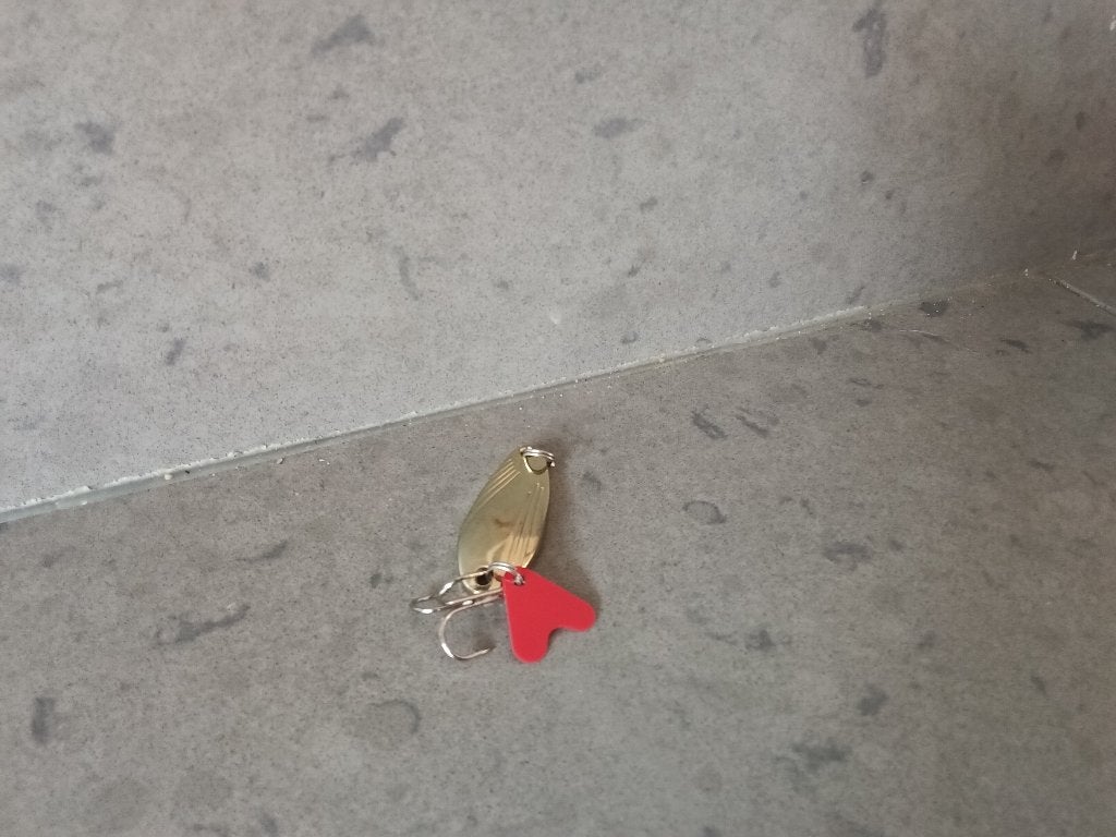 Blinker/lepel voor vissen bieden, Ophalen of Verzenden, Overige typen