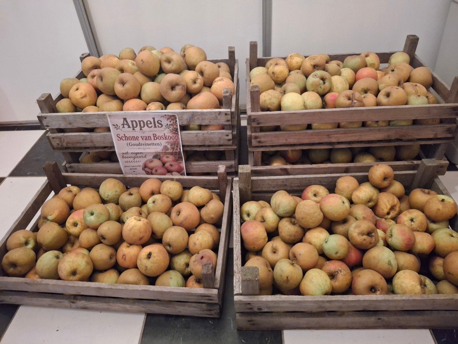 Appels, Schone van Boskoop (Goudreinetten)

100% puur natuur, Diversen, Ophalen