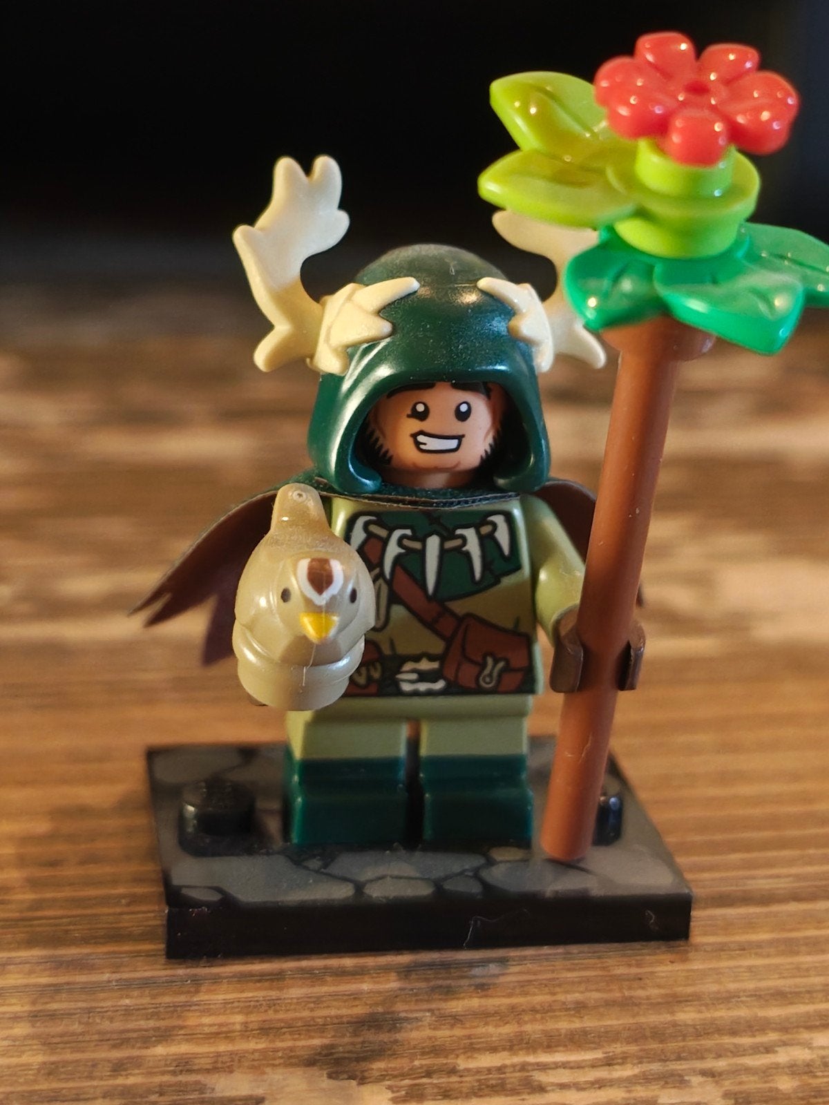 Halfling Druid lego Dungeons Dragons, Avontuur en Actie, 1 speler, Ophalen of Verzenden, Zo goed als nieuw