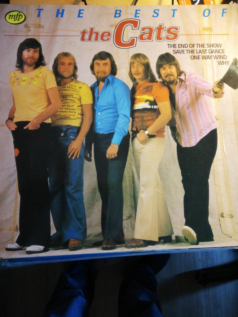 The Cats-The Best of The Cats LP Vinyl, Ophalen of Verzenden