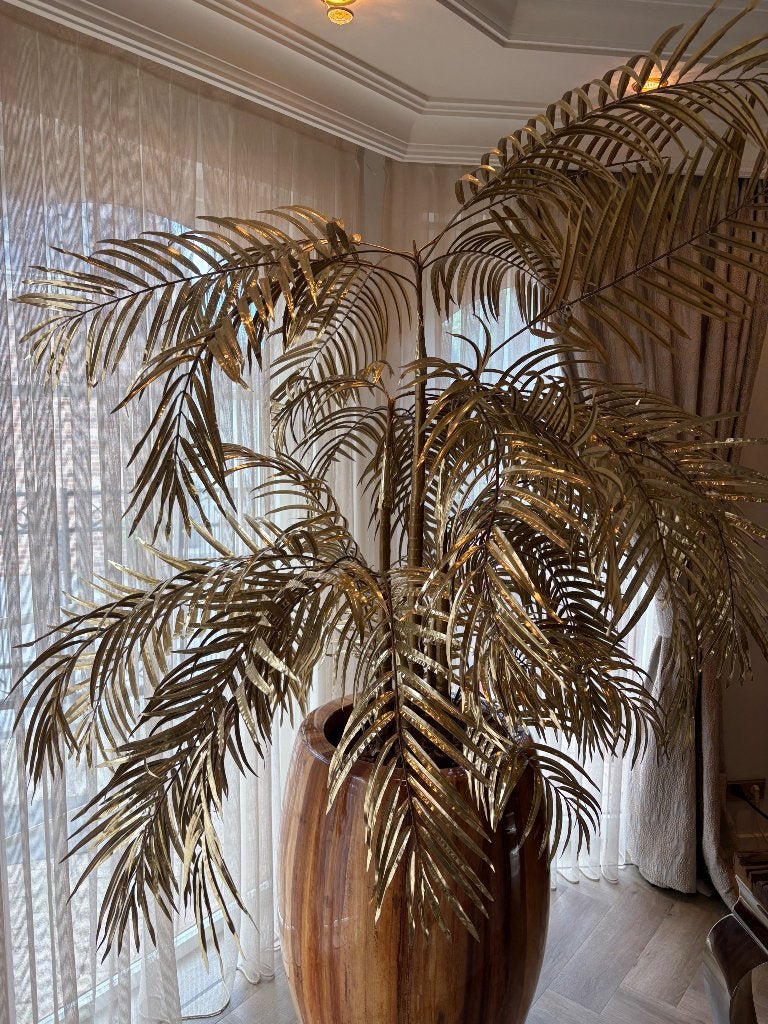 Mooie gouden palmen, Ophalen, Palm, Volle zon, Minder dan 100 cm