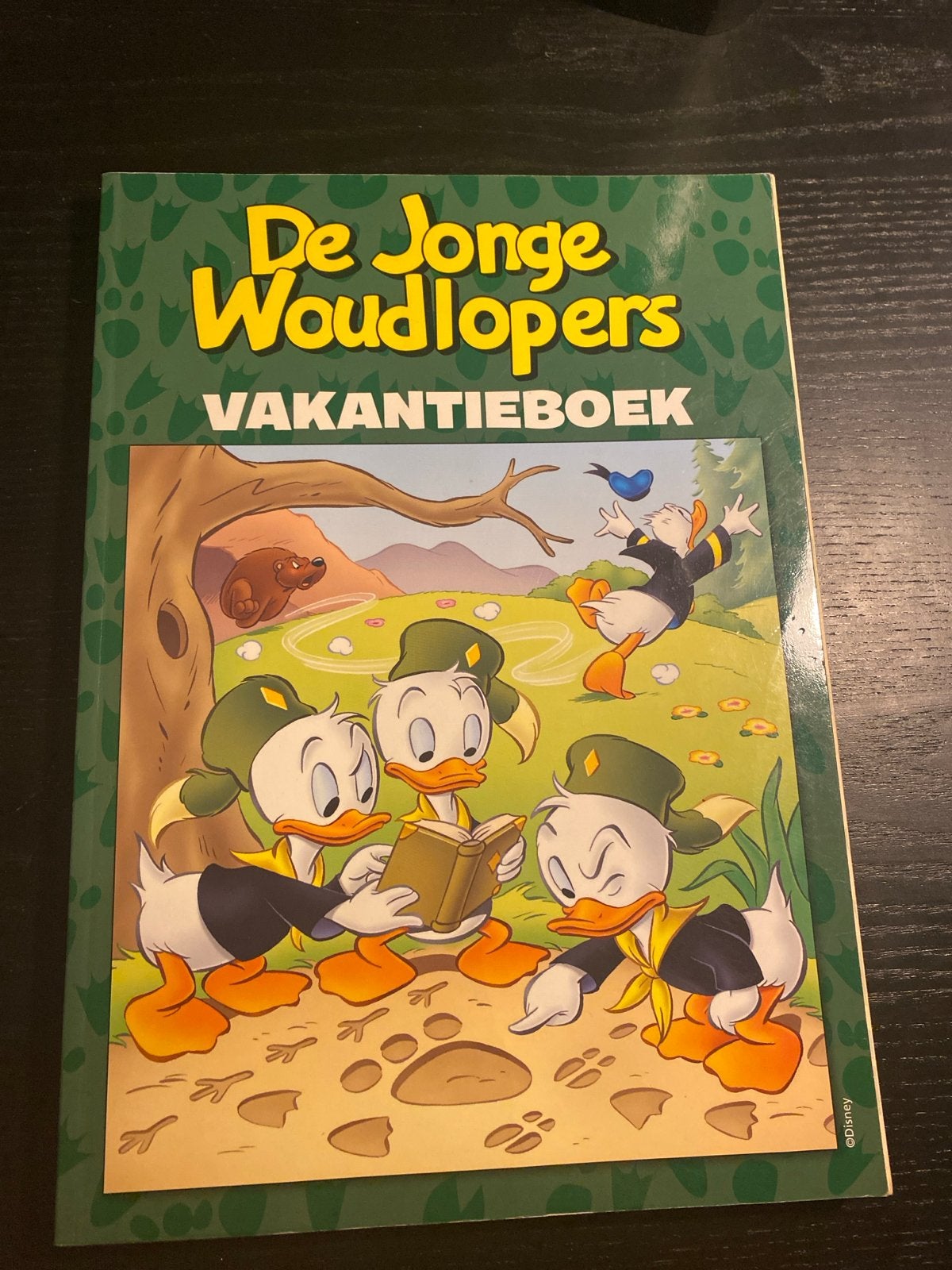 De Jonge Woudlopers Vakantieboek - Disney, Boeken, Ophalen of Verzenden, Gelezen, Fictie algemeen