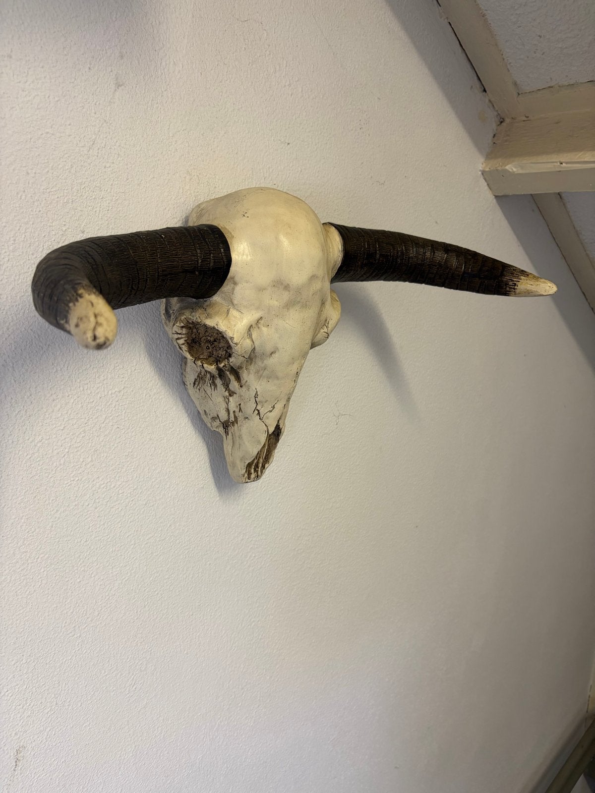 Decoratieve schedel met hoorns - Wanddecoratie, Huis en Inrichting, Woonaccessoires | Overige, Ophalen, Vintage, Gebruikt, Beige
