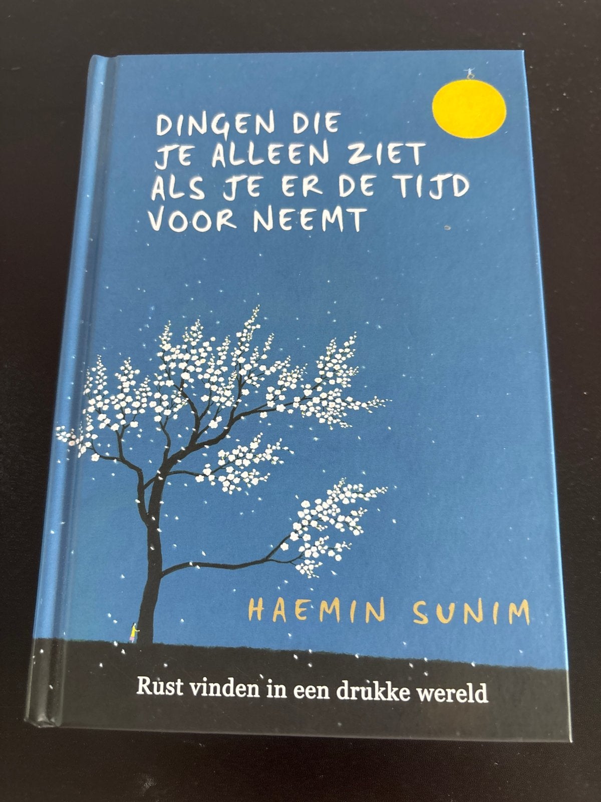 Dingen die je alleen ziet als je er de tijd voor neemt, Ophalen of Verzenden, Zo goed als nieuw, Spiritualiteit algemeen, Achtergrond en Informatie