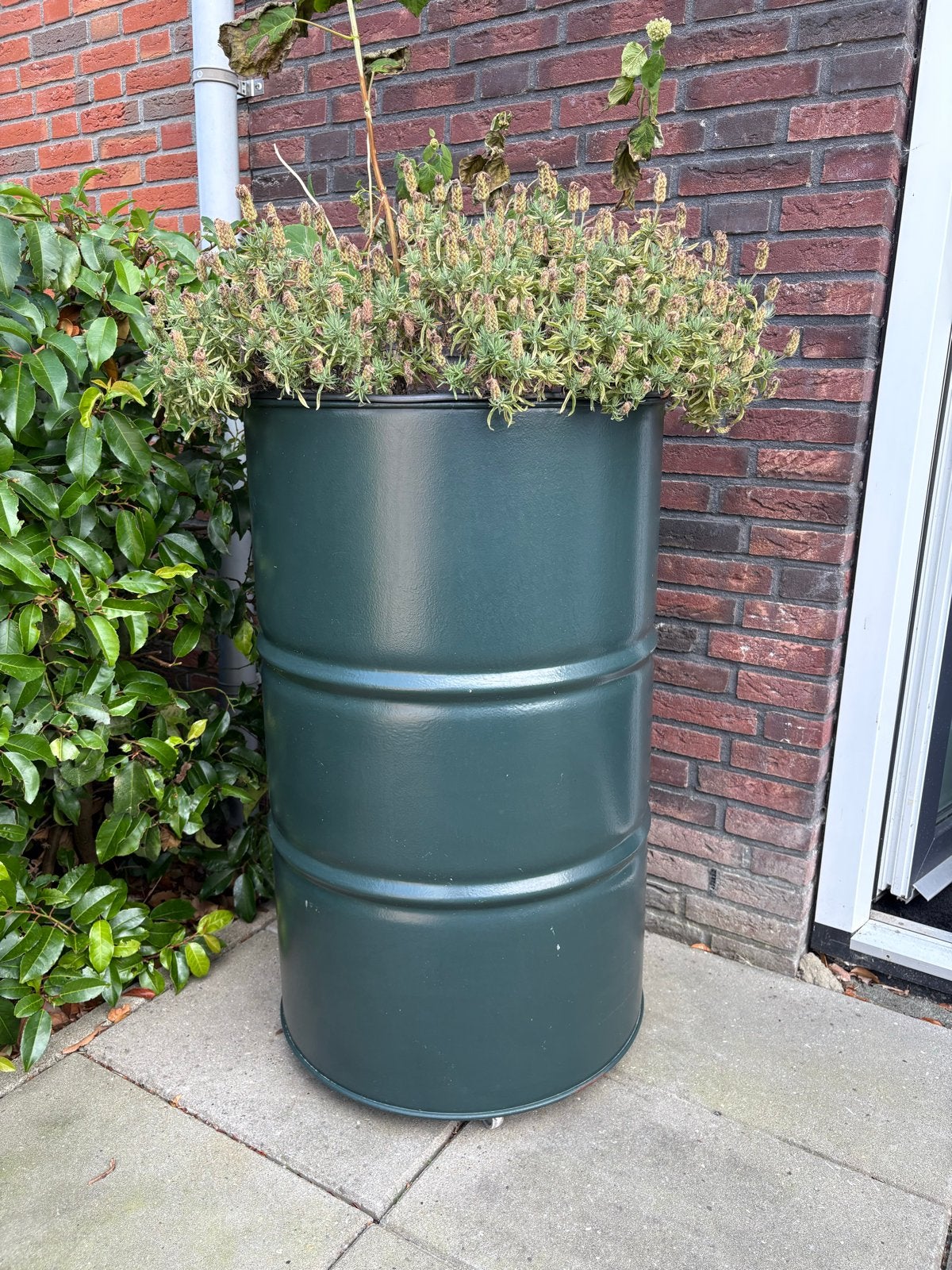 Grote plantenbak van olievat op wieltjes - Zwart en Groen, Ophalen, Gebruikt, Balkon, Minder dan 60 cm
