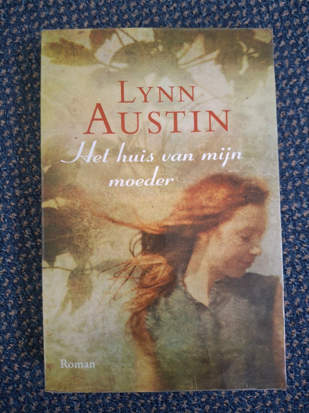 Het huis van mijn moeder - Lynn Austin (Roman), Ophalen of Verzenden, Gelezen, Lynn Austin
