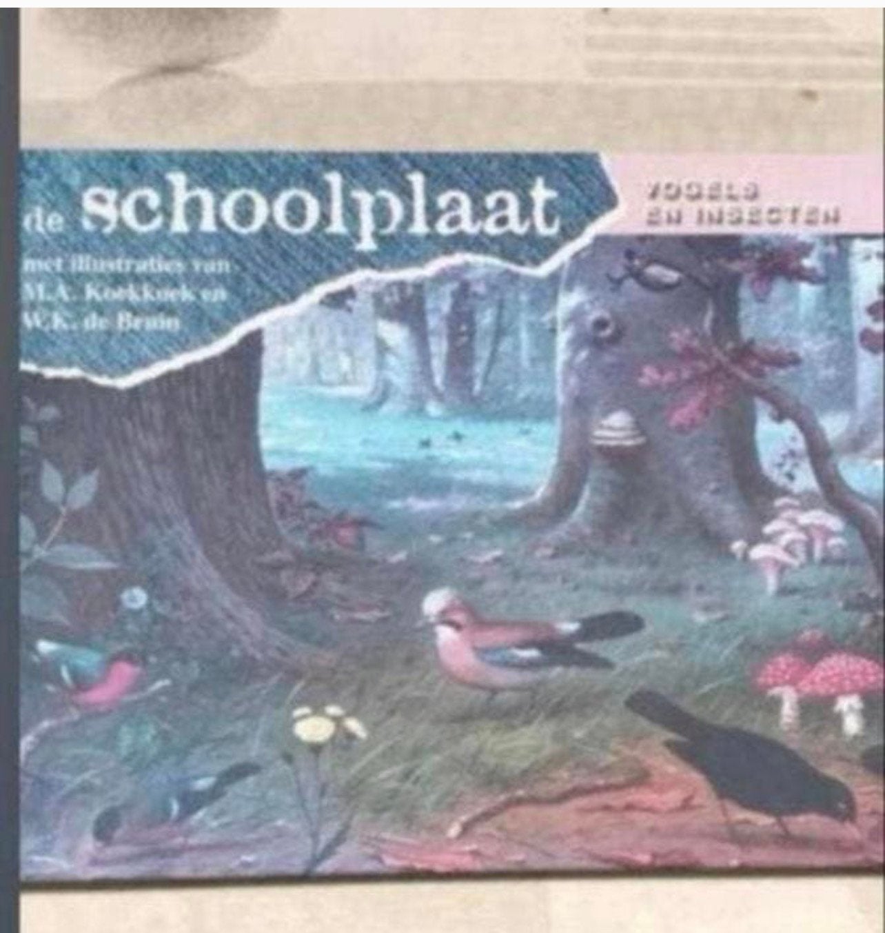 Natuurboek: Vogels en insecten met oude schoolplaten, Ophalen of Verzenden, Gelezen, Vogels