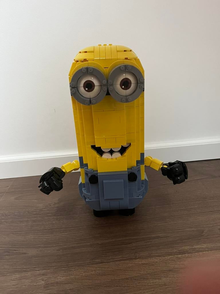 Minion Megabloks, Ophalen of Verzenden, Gebruikt