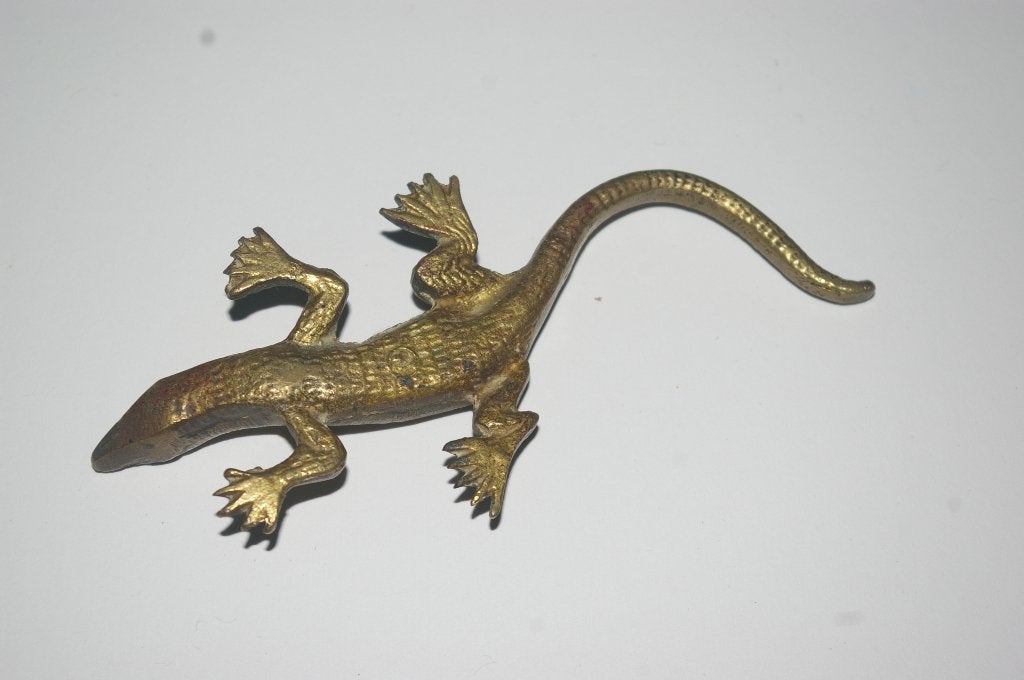 Retro koperen hagedis., Ophalen of Verzenden, Metaal, Wandhanger