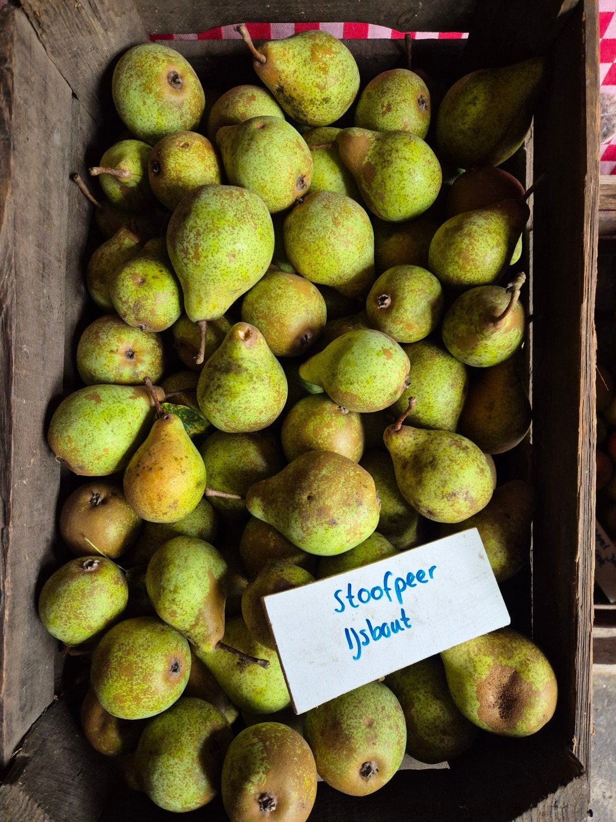 Stoofpeer IJsbout, Ophalen