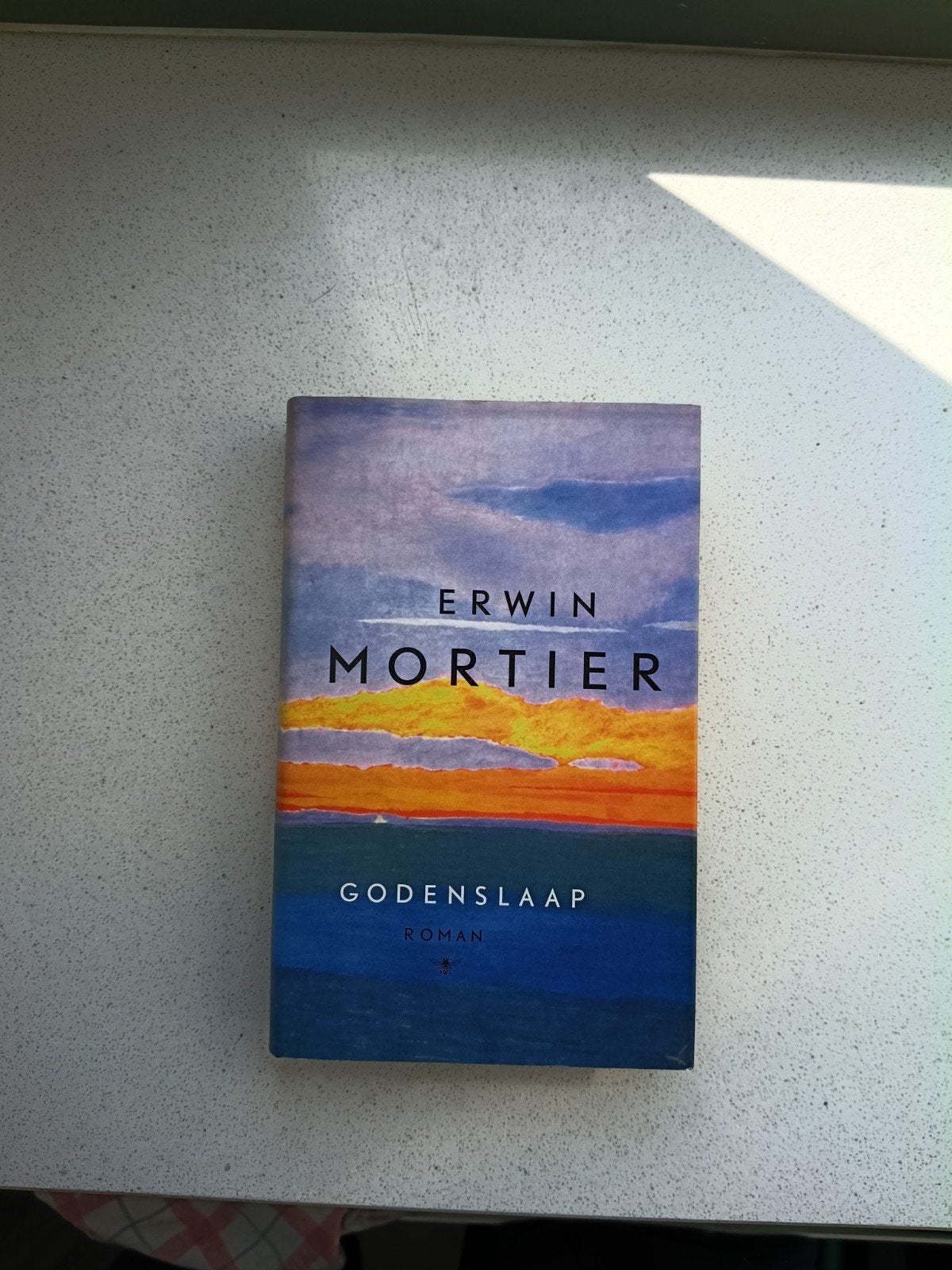Godenslaap - Erwin Mortier, Ophalen of Verzenden, Gelezen
