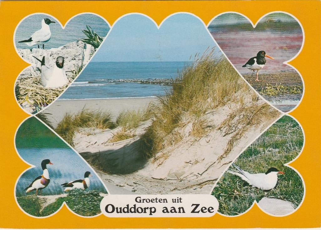 OUDDORP AAN ZEE  Vogels Strand Duin Groeten, Verzenden, 1980 tot heden, Gelopen, Zuid-Holland