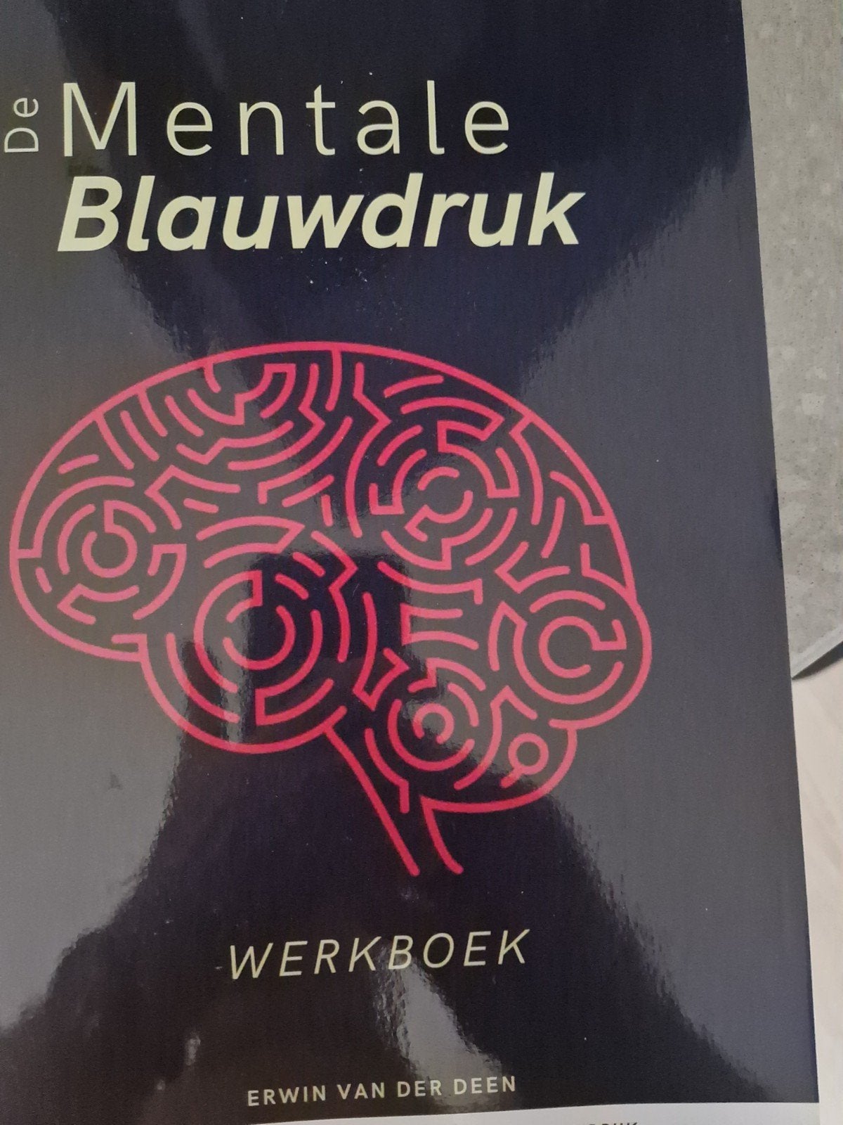 De Mentale Blauwdruk Werkboek - Erwin van der Deen, Boeken, Erwin van der Deen, Ophalen of Verzenden, Zo goed als nieuw, Gamma